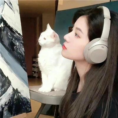 苍兰诀